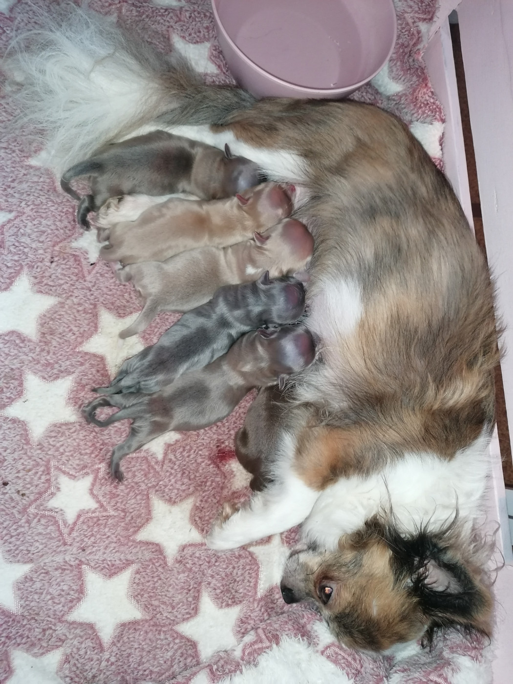 Les bébés de UGAITE sont nés